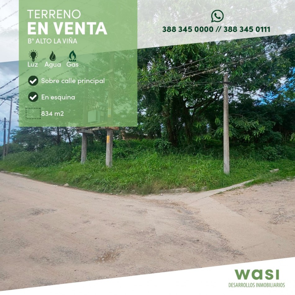 TERRENO ALTO LA VIÑA