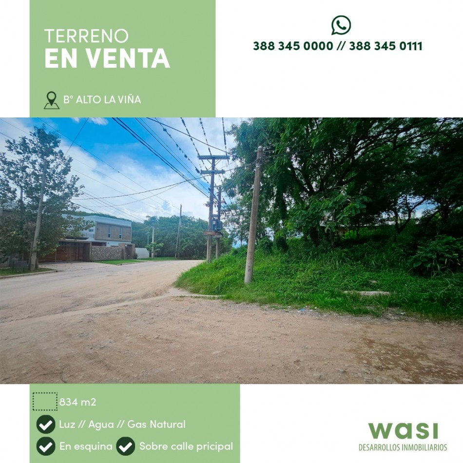 TERRENO ALTO LA VIÑA