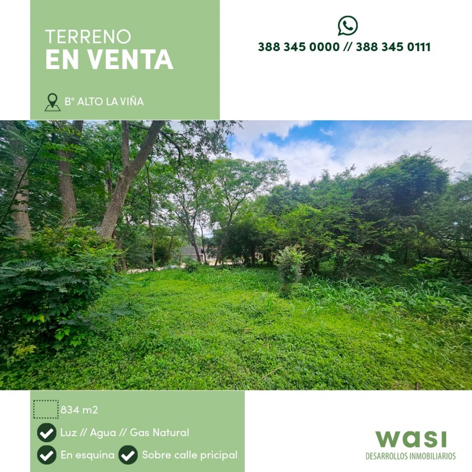 TERRENO ALTO LA VIÑA