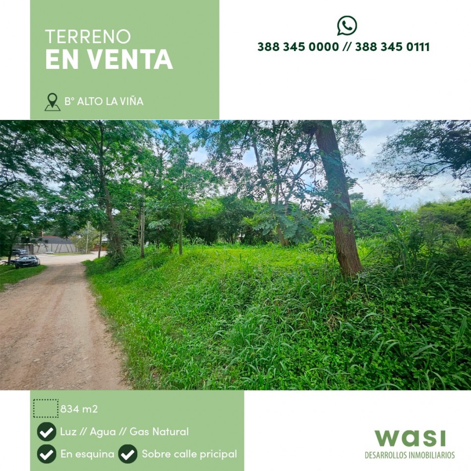 TERRENO ALTO LA VIÑA