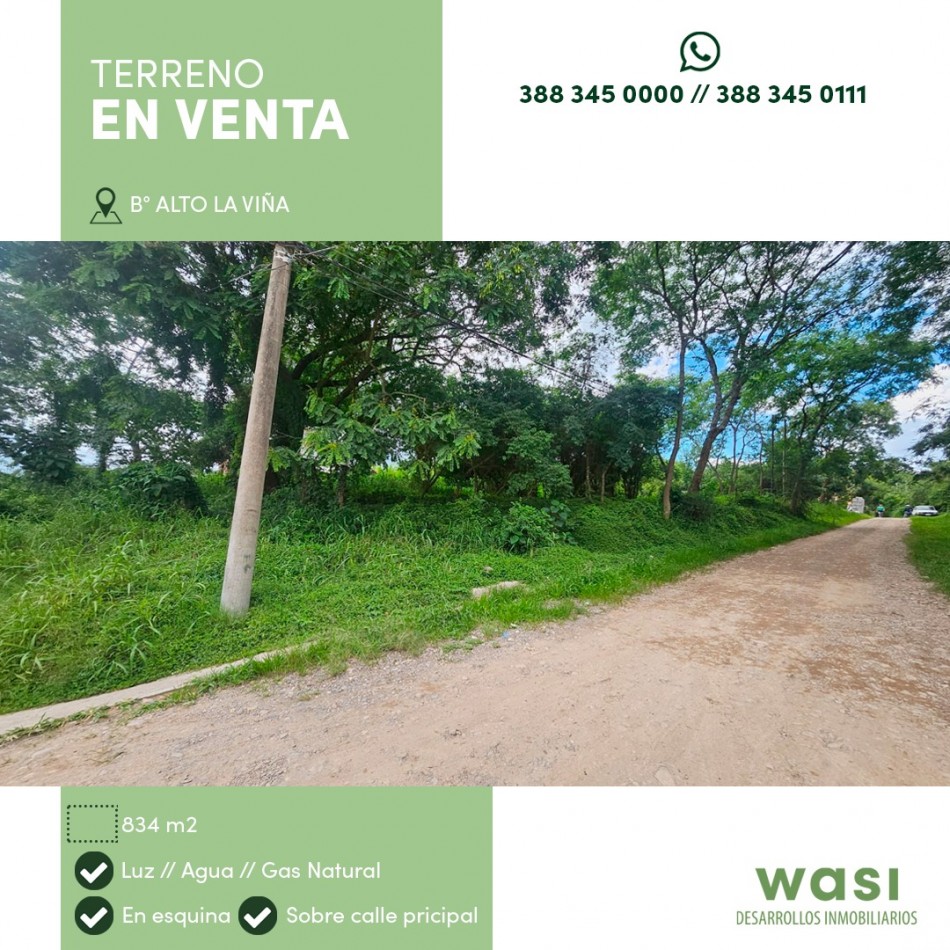 TERRENO ALTO LA VIÑA