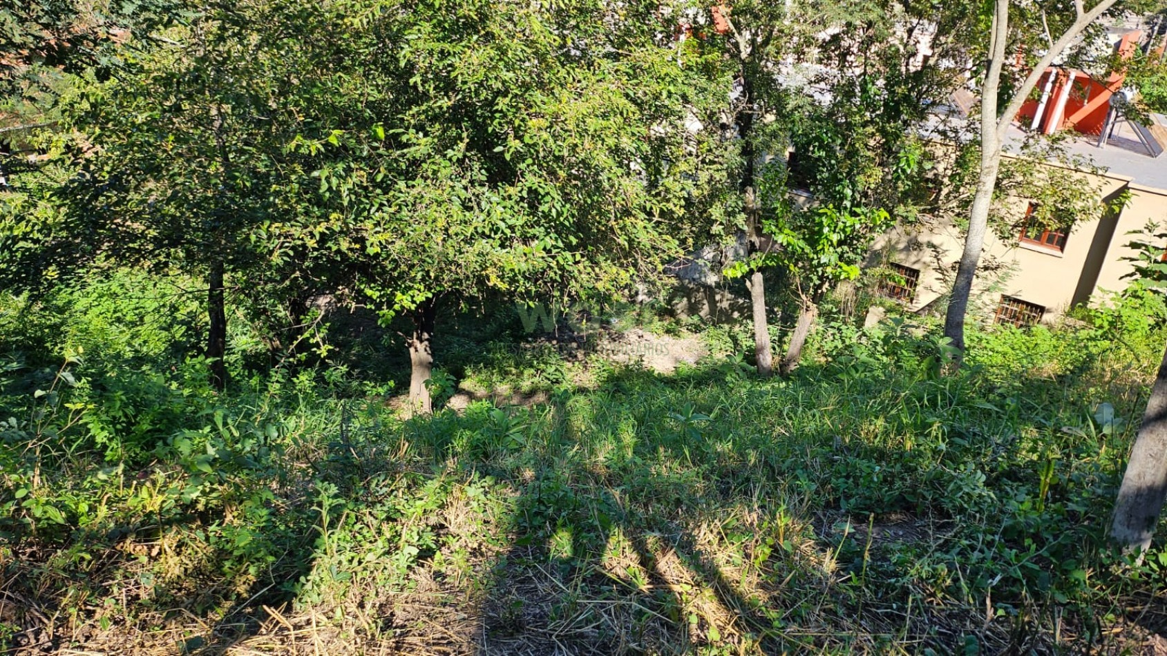 TERRENO BAJO LA VIÑA