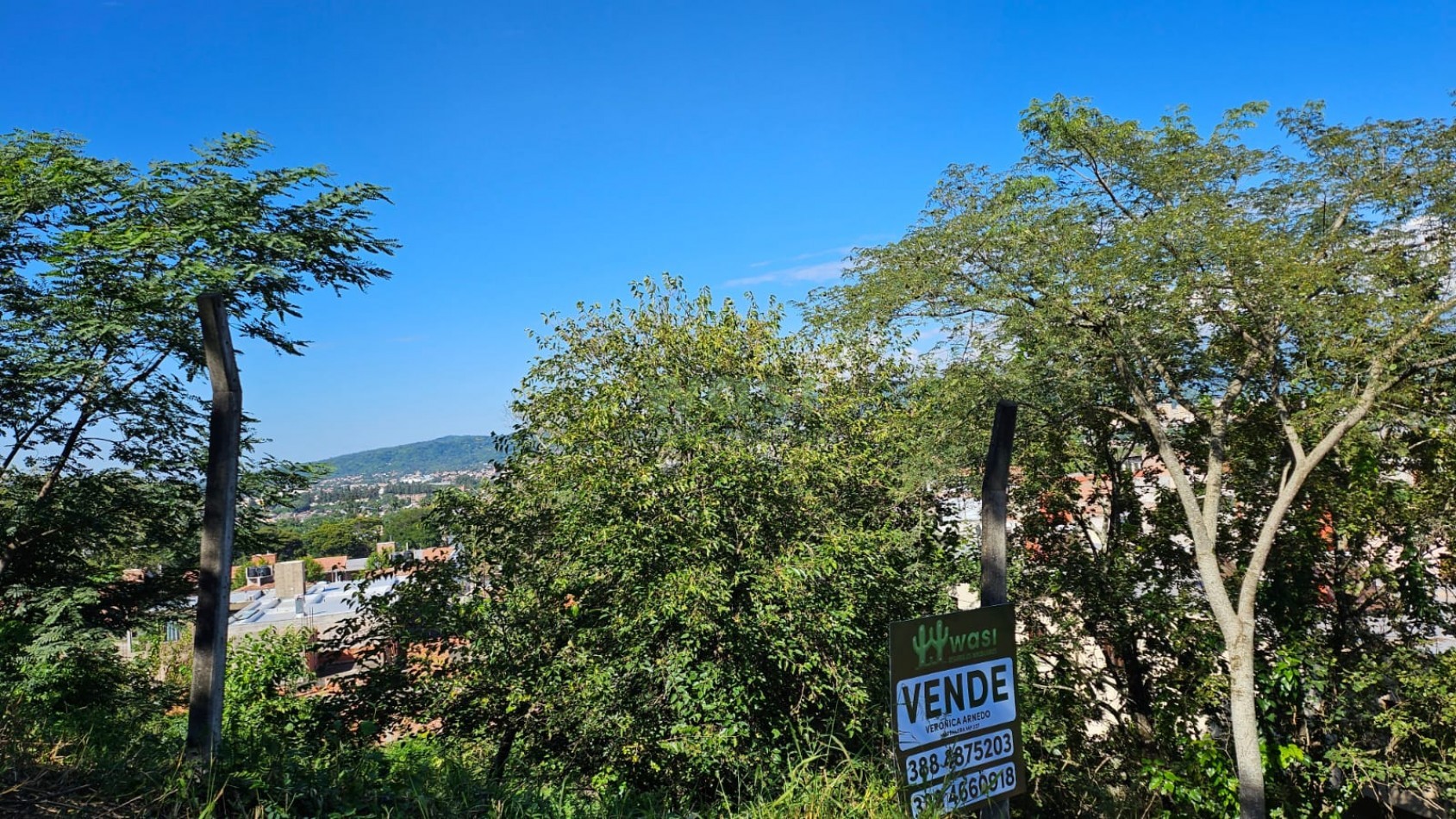 TERRENO BAJO LA VIÑA