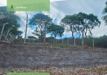 TERRENO LOS ALISOS