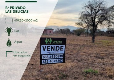 TERRENO BARRIO PRIVADO LAS DELICIAS