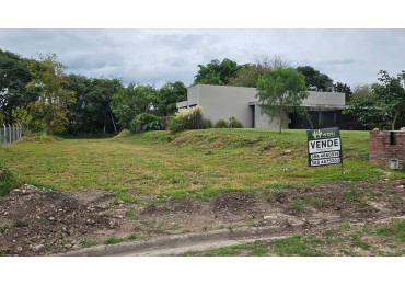 TERRENO BARRIO LAS MORAS HIGUERILLAS